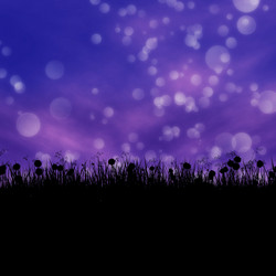 Similar image 2494131