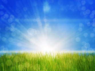 Similar image 2494132