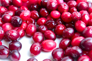 Similar image 2494180