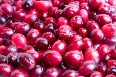 Similar image 2494183