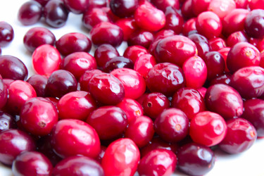 Similar image 2494185