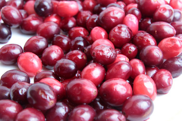 Similar image 2494186