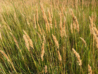 Similar image 2494757