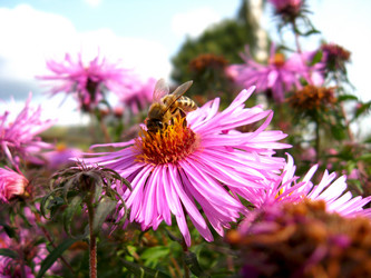 Similar image 2494758