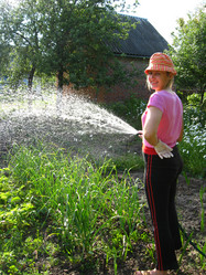 Similar image 2494786