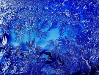 Similar image 2494976