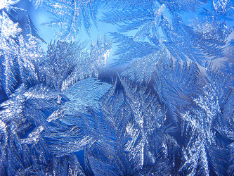 Similar image 2494977