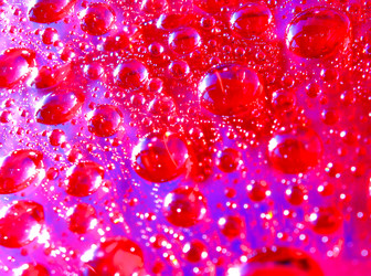 Similar image 2494989