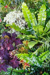 Similar image 2495200