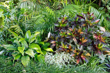 Similar image 2495202