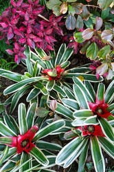 Similar image 2495203