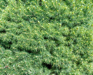 Similar image 2495205