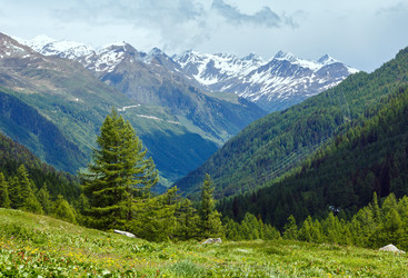 Similar image 2495215