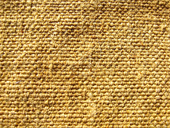 Similar image 2495325