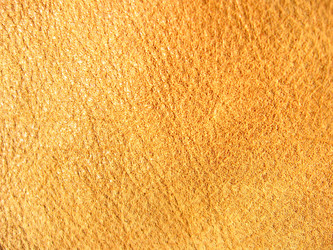 Similar image 2495331