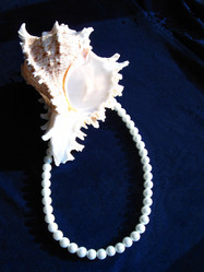 Similar image 2495339