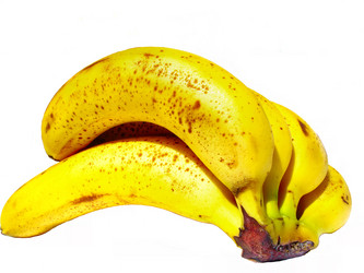 Similar image 2495390