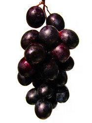 Similar image 2495397