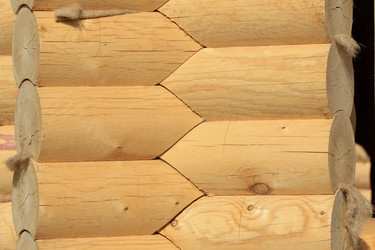 Similar image 2495405