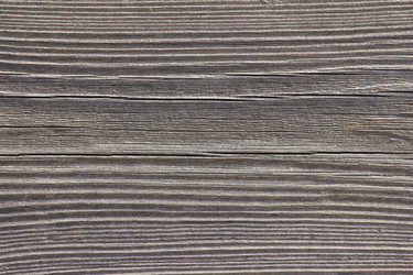 Similar image 2495421