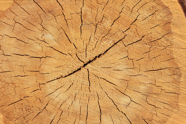 Similar image 2495426