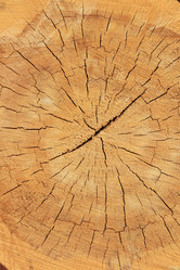 Similar image 2495428