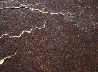 Similar image 2495435