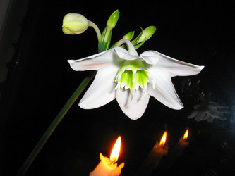 Similar image 2495438