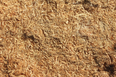 Similar image 2495509