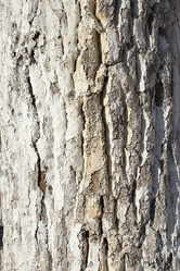 Similar image 2495528