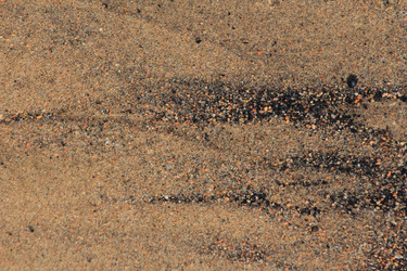 Similar image 2495545