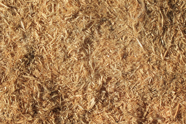 Similar image 2495549