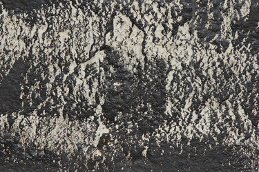 Similar image 2495560