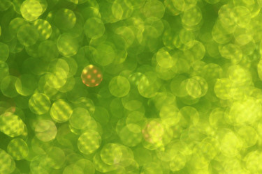 Similar image 2495619