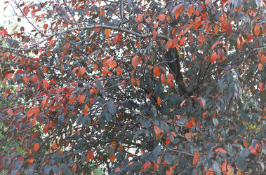 Similar image 2508379