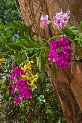 Similar image 2508440