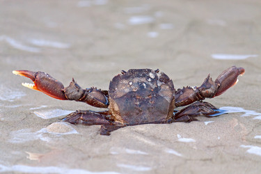 Similar image 2508443