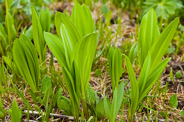 Similar image 2508743