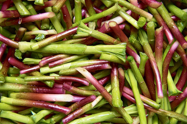 Similar image 2508744