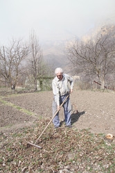 Similar image 2508825