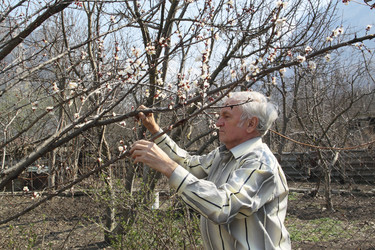 Similar image 2508832