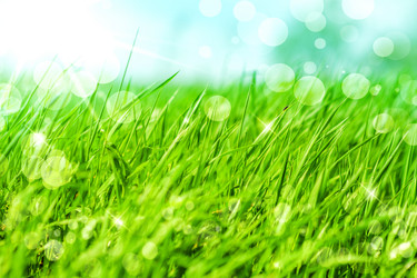 Similar image 2508907