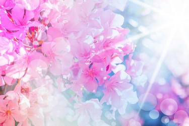 Similar image 2508909