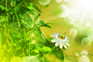 Similar image 2508910