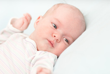 Similar image 2509110