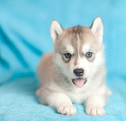 Similar image 2509404