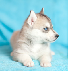 Similar image 2509405