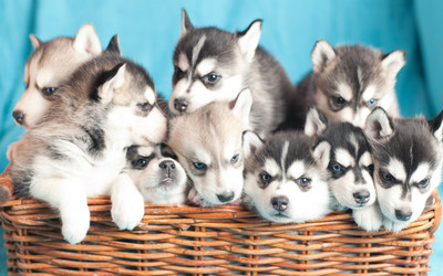 Similar image 2509409