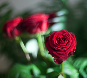 Similar image 2509419