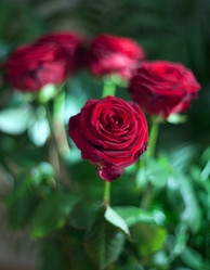 Similar image 2509421